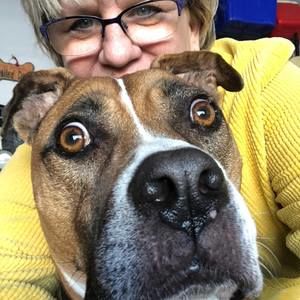 Meet your Posher, Sue